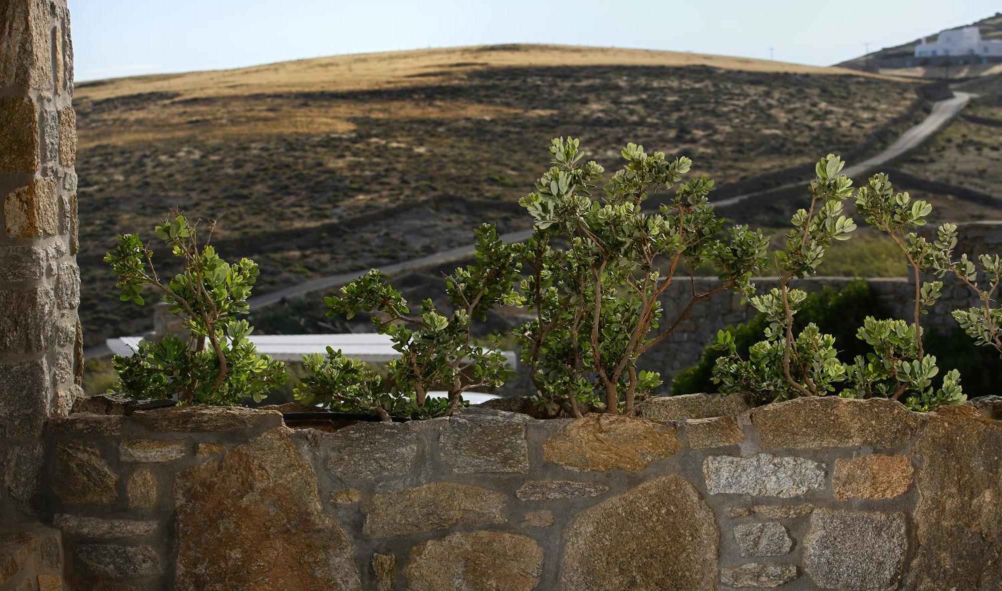 Vlia Mykonos Apartment Kalafatis Luaran gambar